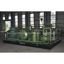 Oil Free Helium Compressor Nitrogen Compressor Argon Compressor (D-8.5/0.025-30)